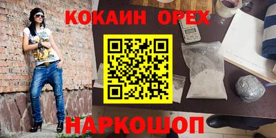 крисы Шелехов