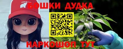 крисы Шелехов
