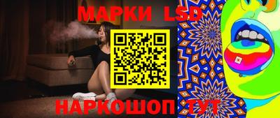крисы Шелехов