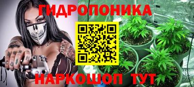 крисы Шелехов