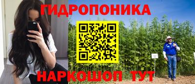 мяу мяу мука Шахты