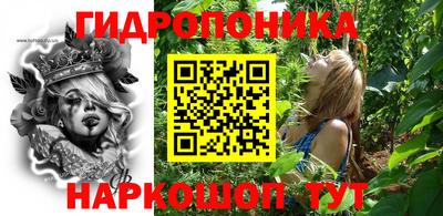 крисы Шелехов